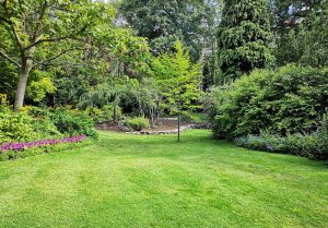 Optimiser l'expérience du jardin à Ramecourt